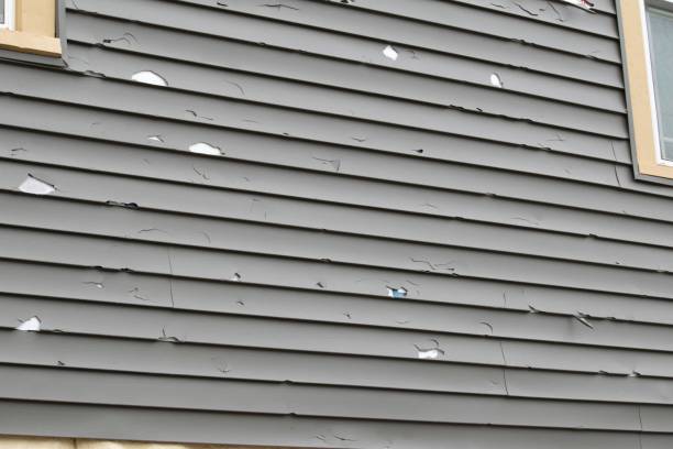 Professional Siding Services in Man, WV